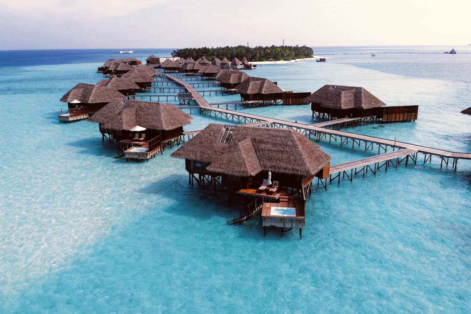 Cruise Ships Produce Staggering Food Waste. Fred. Olsen Is Putting AI on the Problem.